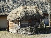 2011 р. Загальний вигляд ззаду