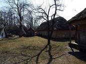 2011 р. Двір (погрібник, клуня, саж,…