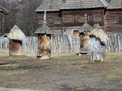 2011 р. Вулики на тлі церкви із…