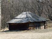 2011 р. Загальний вигляд