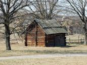 2011 р. Загальний вигляд