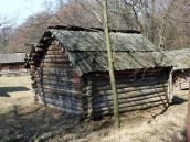 2011 р. Загальний вигляд з тильного боку