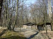 2011 р. Загальний вигляд (вулики,…