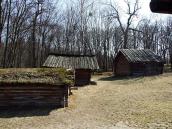 2011 р. Стебка 13, кліть 12 і тік 11