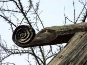 2011 р. Верхня балка даху