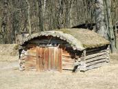 2011 р. Загальний вигляд