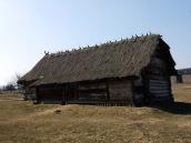 2011 р. Загальний вигляд з боку лісу