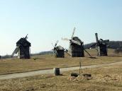 2011 р. Загальний вигляд групи…