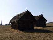 2011 р. Загальний вигляд