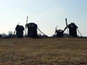 2011 р. Загальний вигляд групи…