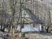 2011 р. Загальний вигляд