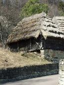 2011 р. Загальний вигляд