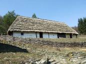 2011 р. Загальний вигляд