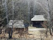 2011 р. Бухня із с.Шепіт (22, ліворуч)…