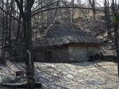 2011 р. Загальний вигляд