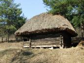 2011 р. Загальний вигляд збоку