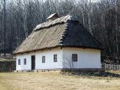 2011 р. Загальний вигляд