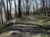 2011 р. Фрагмент тераси північного…