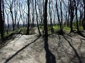 2011 р. Рів, що відділяє північну…