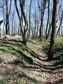 2011 р. Рів, що відділяє північну…