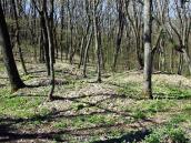 2011 р. Фрагмент курганного могильника