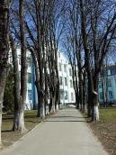 Алея, що провадить до входу на…