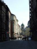 Шевська вул.