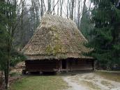 2012 р. Загальний вигляд