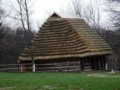 2012 р. Загальний вигляд