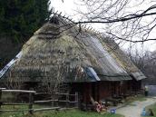 2012 р. Загальний вигляд