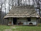 Хата із с.Брід