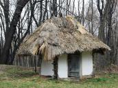 2012 р. Загальний вигляд