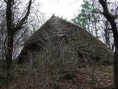 2012 р. Загальний вигляд з тильного боку