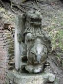 Вигляд анфас