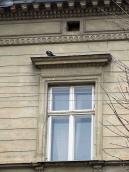 Вікно 3-го поверху