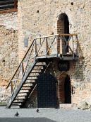 Нижні яруси