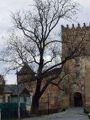 Владична і Надбрамна башти