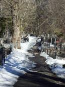 2013 р. Перспектива алеї між полями 4а…