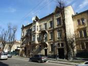 2013 р. Загальний вигляд