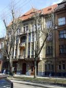 2013 р. Загальний вигляд