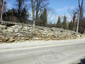 2013 р. Крепіда ботанічного саду…