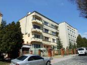 2013 р. Загальний вигляд