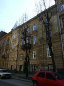 2013 р. Загальний вигляд