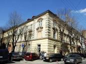 2013 р. Загальний вигляд