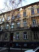 2013 р. Загальний вигляд