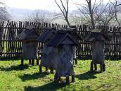 2013 р. Ще вулики