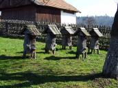 Вигляд з південного заходу