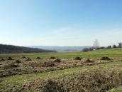 Ліва частина – ліс та долина