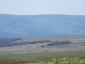 Ліва частина