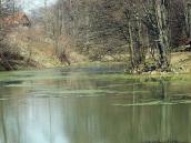 2013 р. Ставок, праворуч – ліс, де…